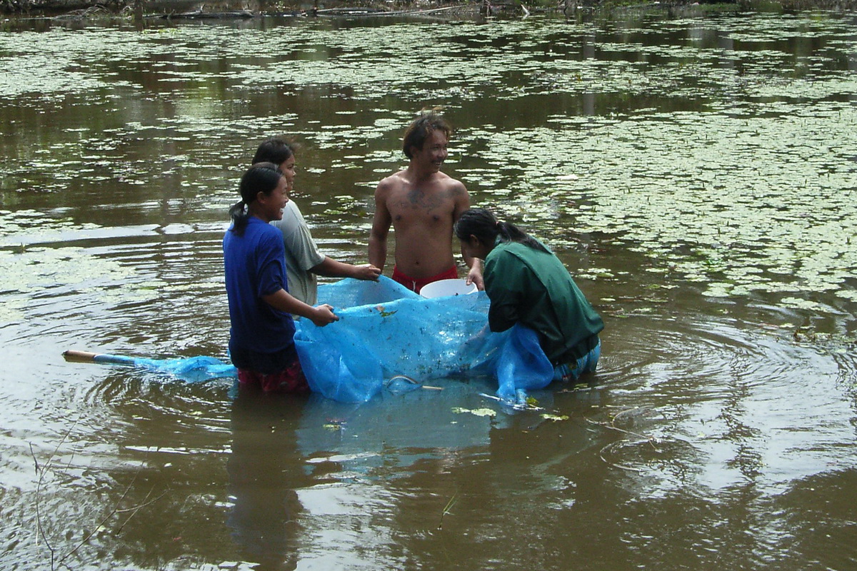 In Thailand Menschen in Ihrer Umgebung Erleben hier bei der Fischzucht